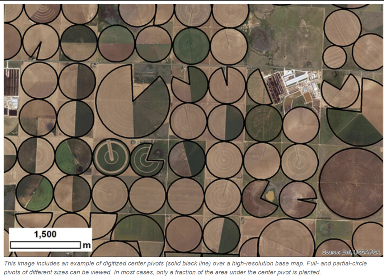 digitized circles